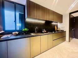 Tembusu Grand (D15), Condominium #557556071